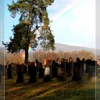 judenfriedhof in altengronau (mkk)