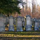 Judenfriedhof in Freudental 2