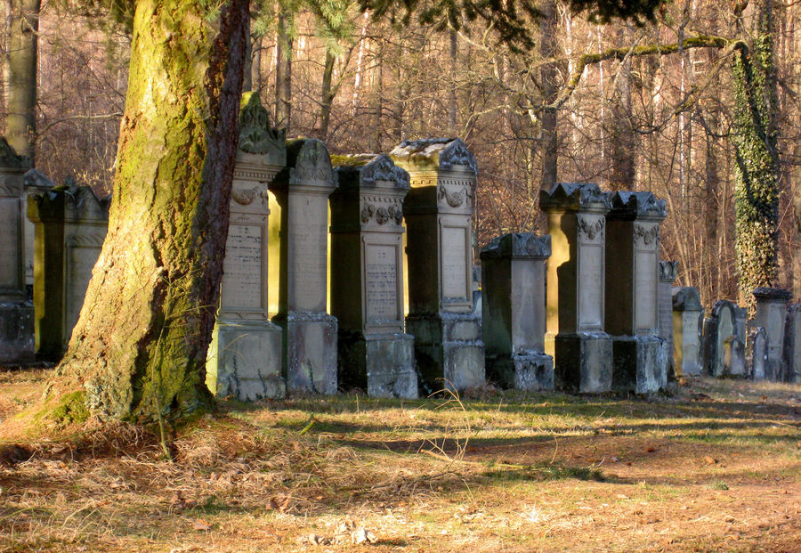 Judenfriedhof in Freudental
