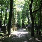 Judische Friedhof Berlin Weissensee - Licht und Schatten