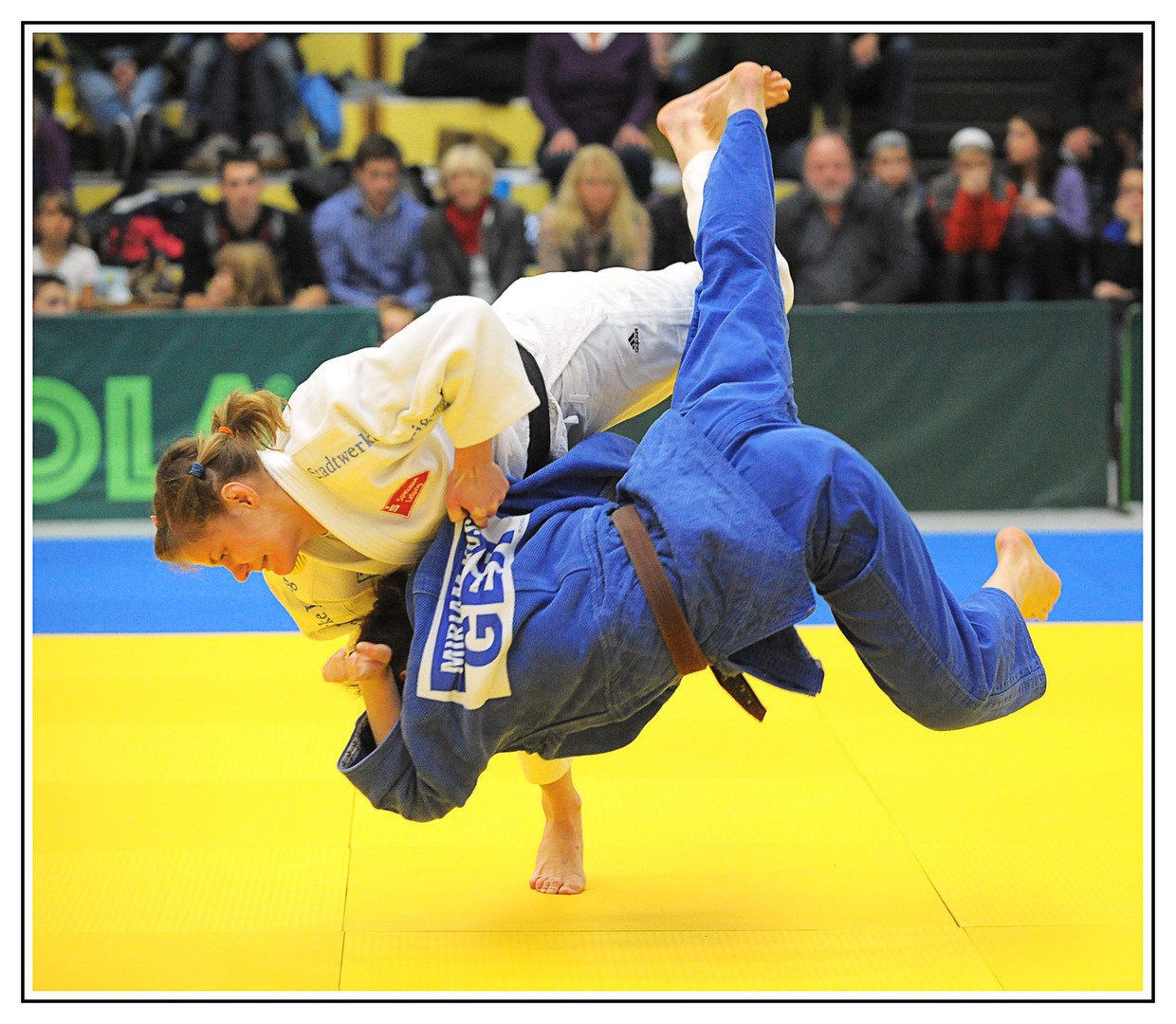 Judo # 10