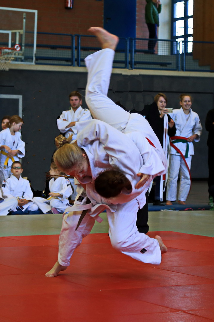 Judo 2