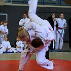 Judo 2