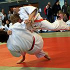 Judo 3