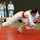 Judo 4