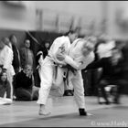 Judo-Bann