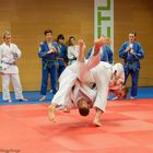 Judo training