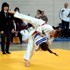 Judo - unwiderstehlich