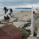 Judy & Buck auf Rügen