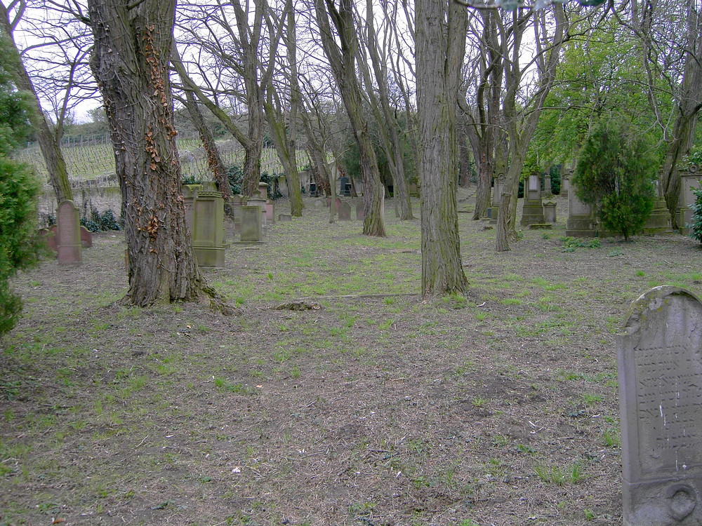 Jüdischer Friedhof 1