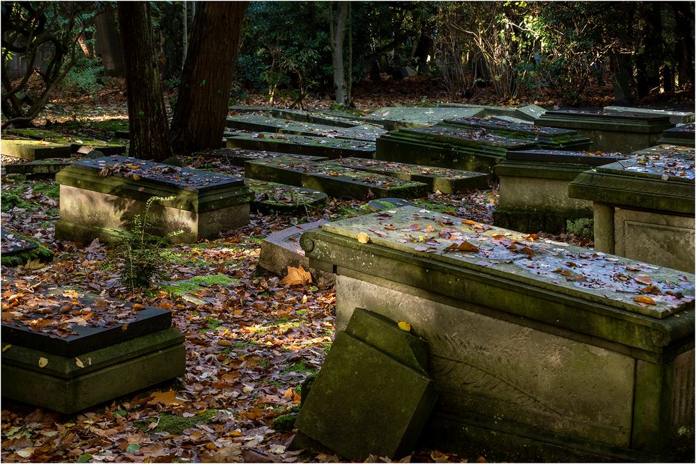 Jüdischer Friedhof (11)