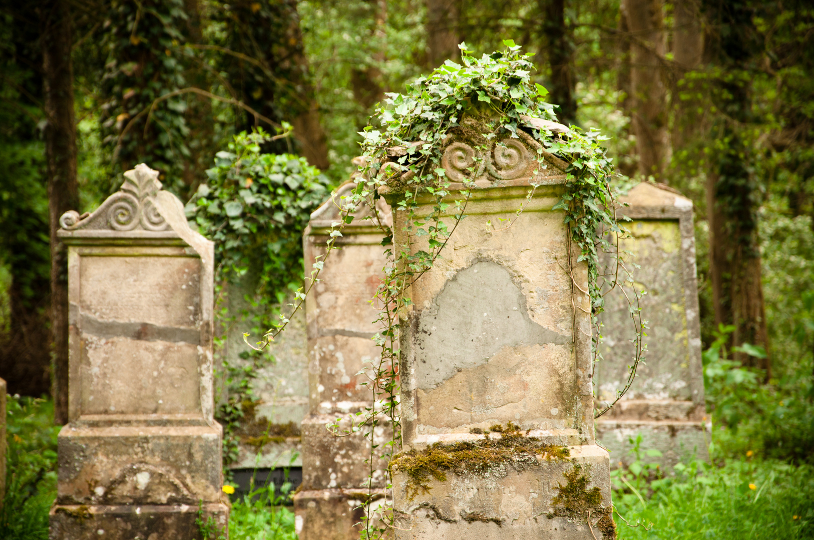 Jüdischer Friedhof