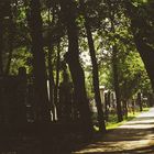 jüdischer Friedhof-2