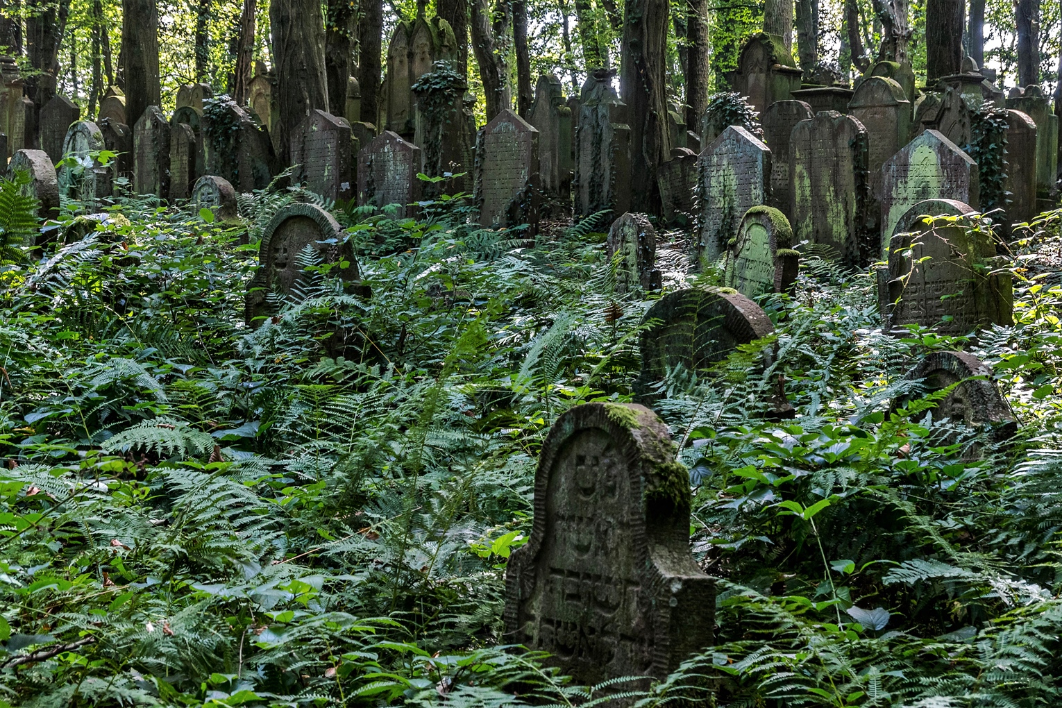 jüdischer Friedhof (2)