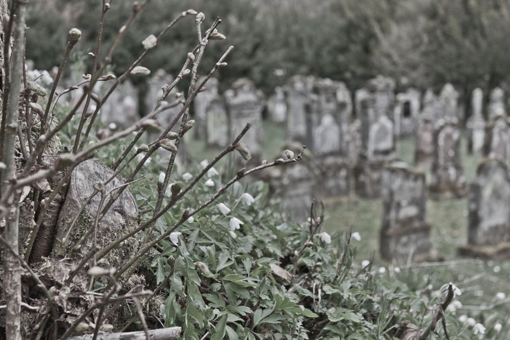 Jüdischer Friedhof 3