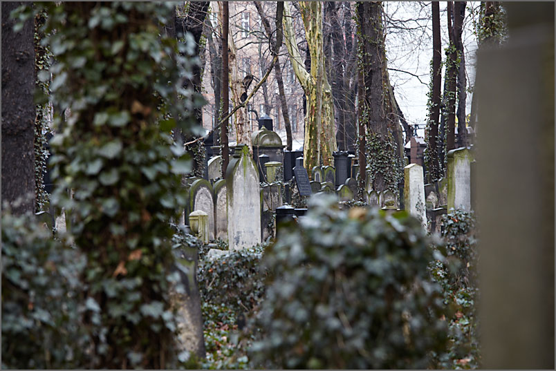 jüdischer friedhof 3