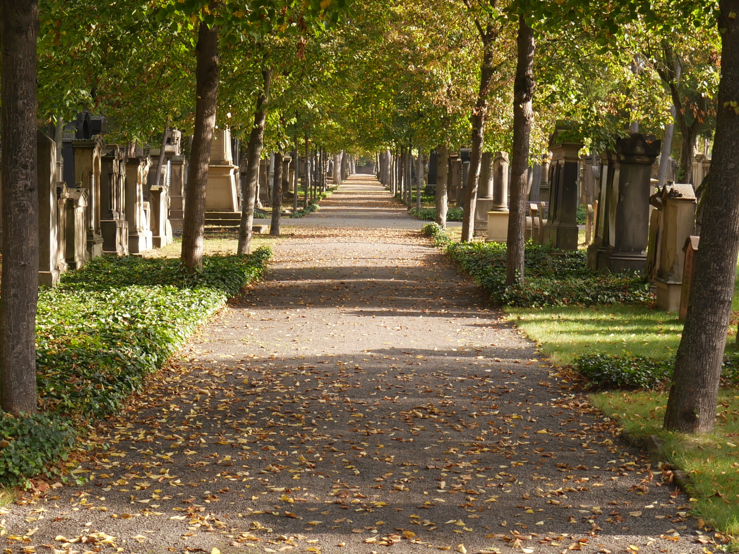 Jüdischer Friedhof 3