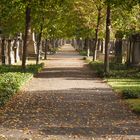 Jüdischer Friedhof 3