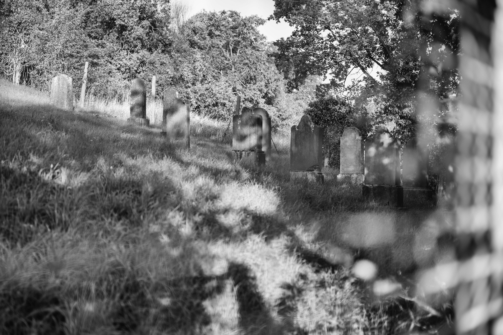 Jüdischer Friedhof