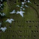 Jüdischer Friedhof [4]