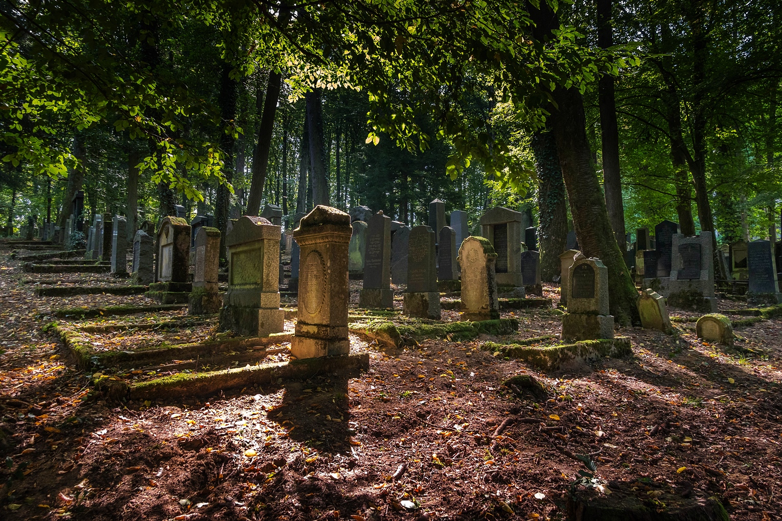 jüdischer Friedhof (4)