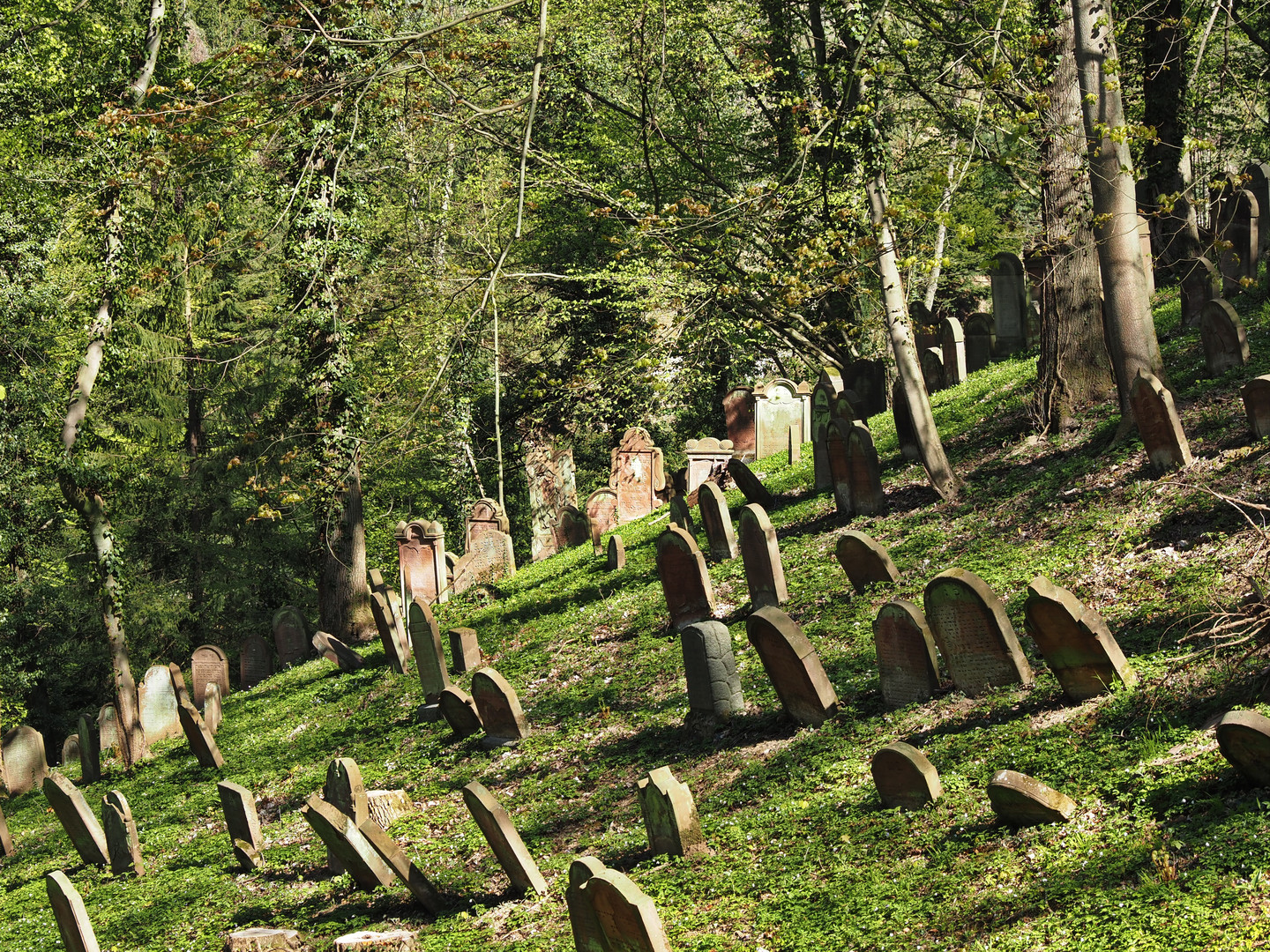 Jüdischer Friedhof