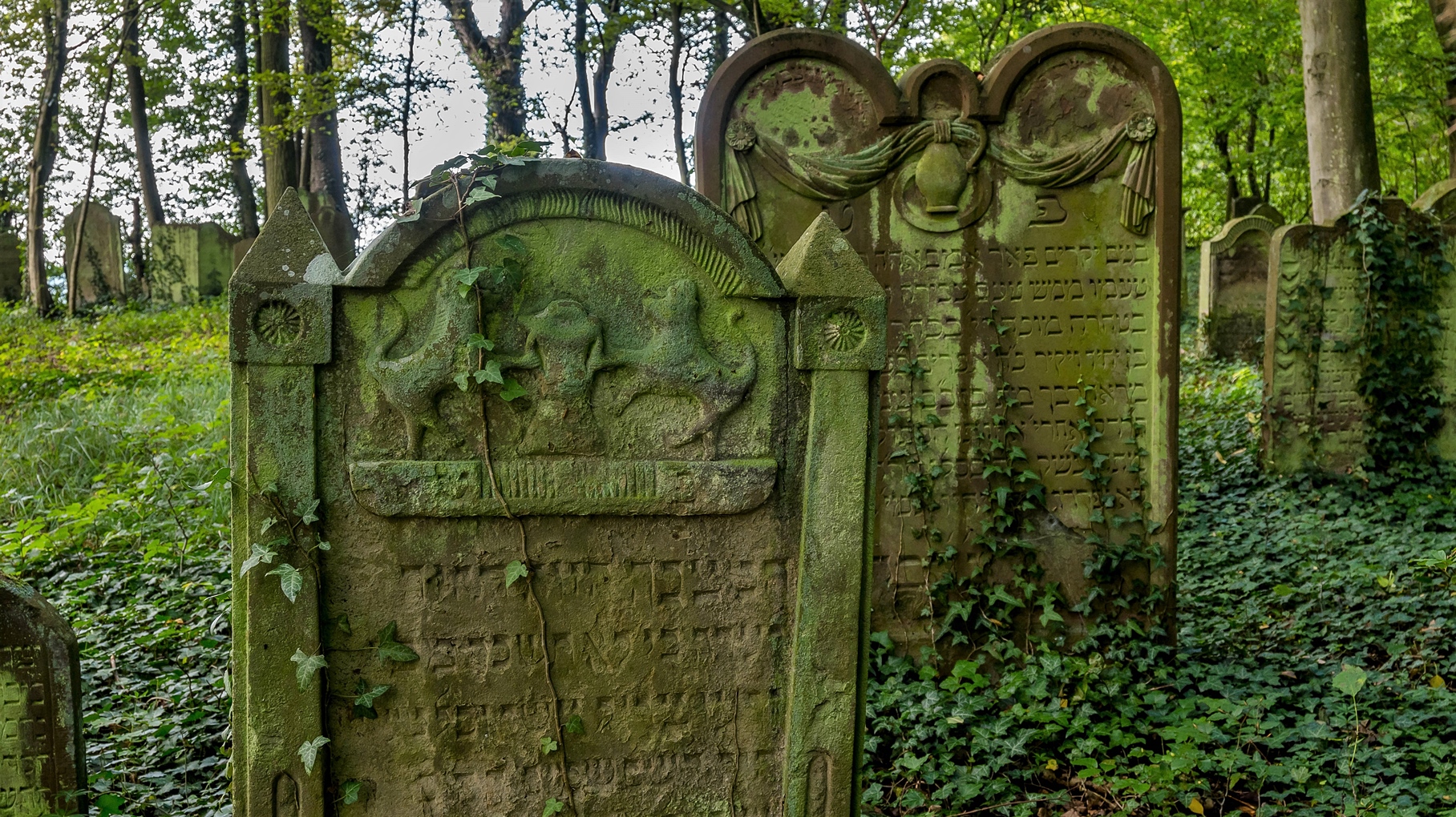 jüdischer Friedhof (5)