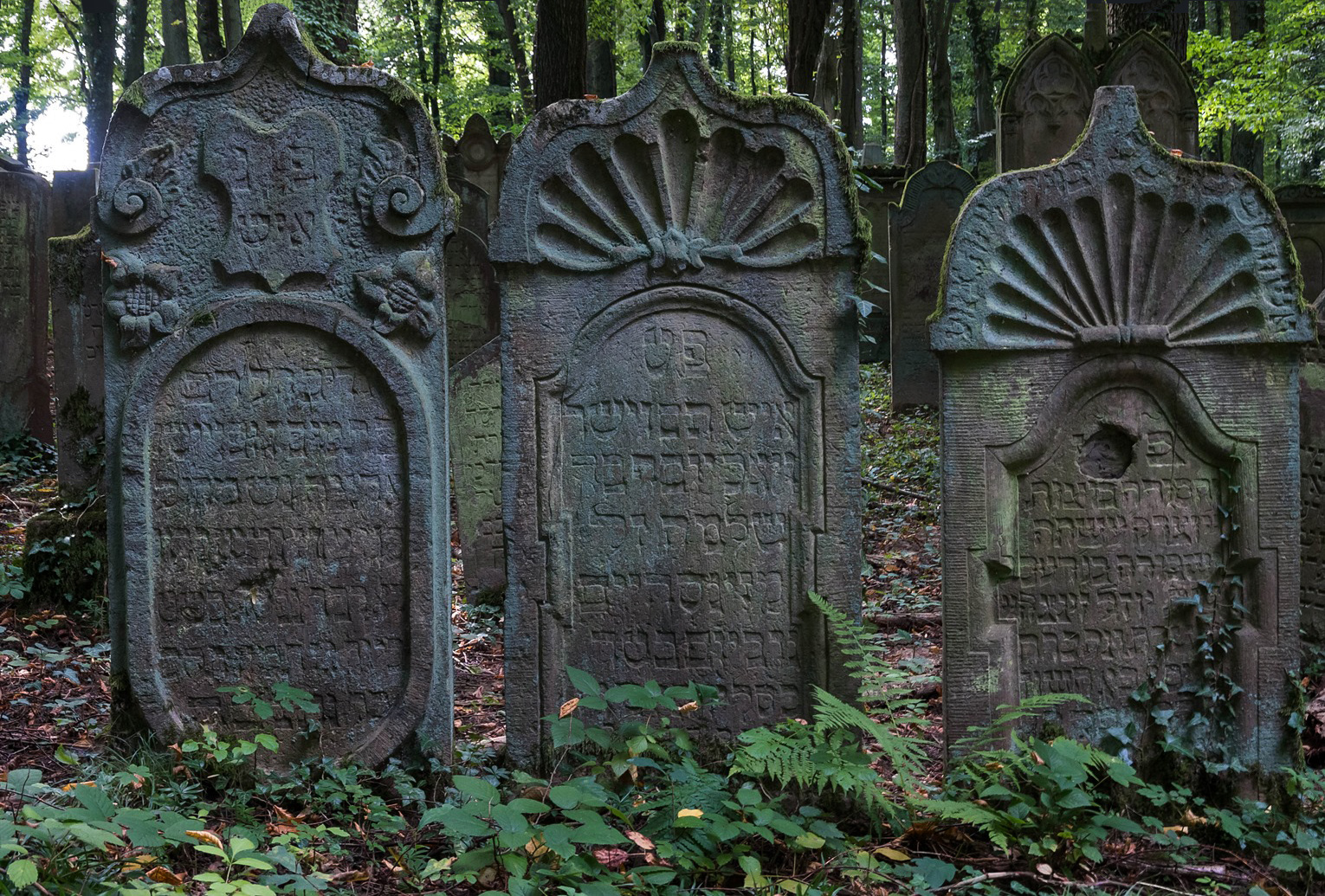 jüdischer Friedhof (6)