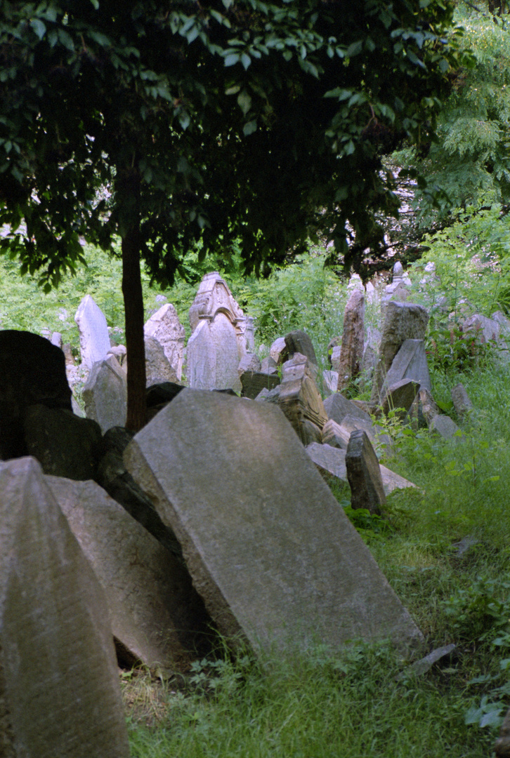 jüdischer Friedhof