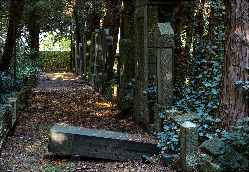 Jüdischer Friedhof (8)