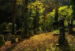 Jüdischer Friedhof