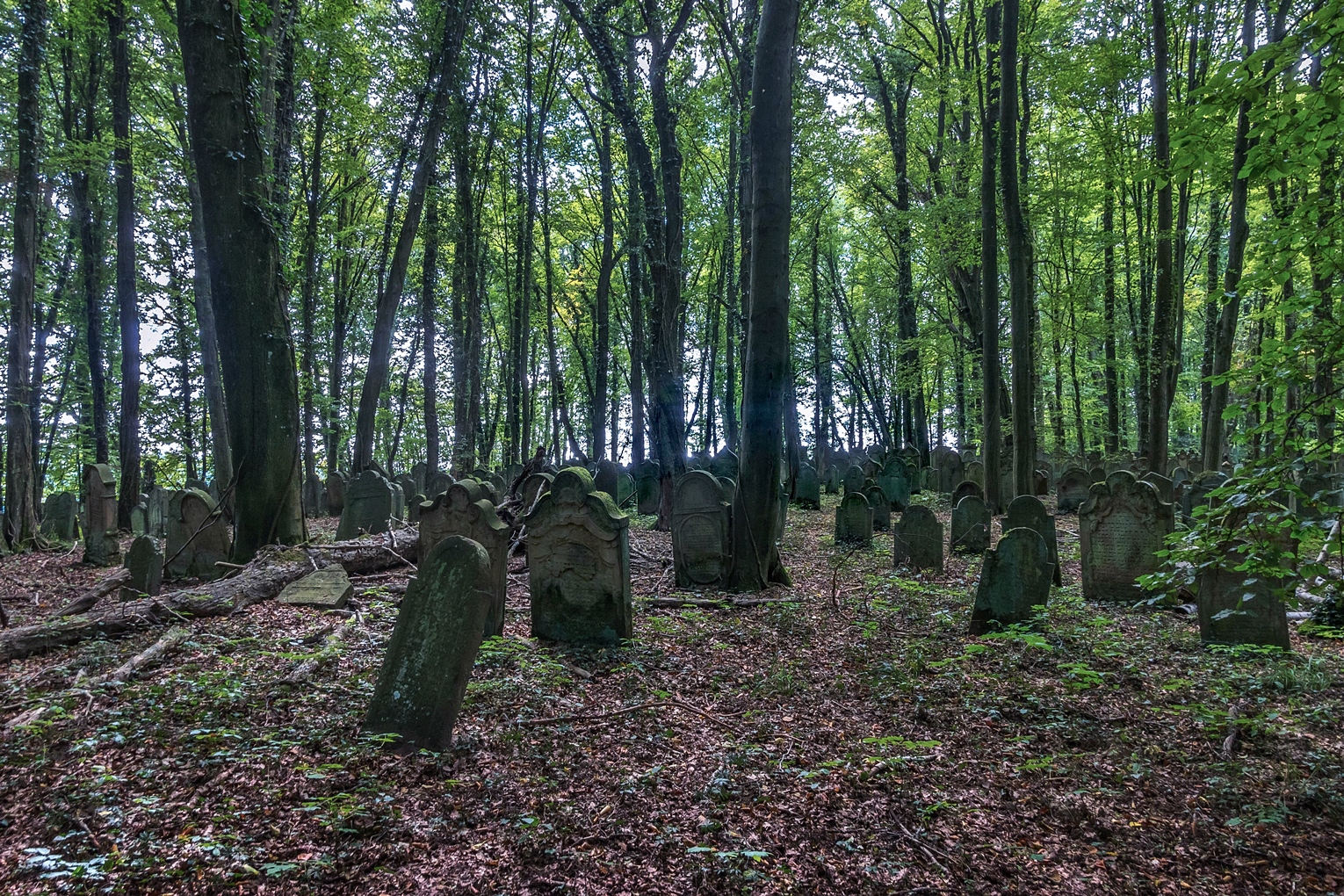 jüdischer Friedhof