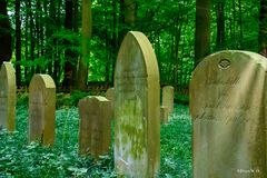 Jüdischer Friedhof