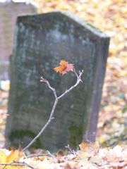 Jüdischer Friedhof