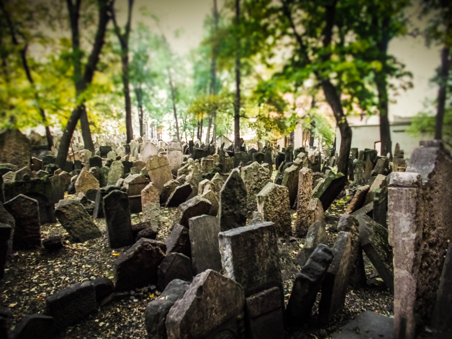 jüdischer Friedhof