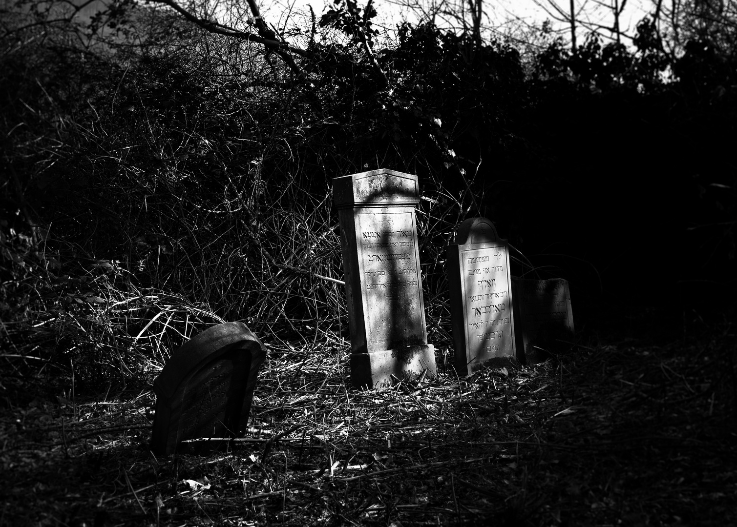 Jüdischer Friedhof Alsbach II