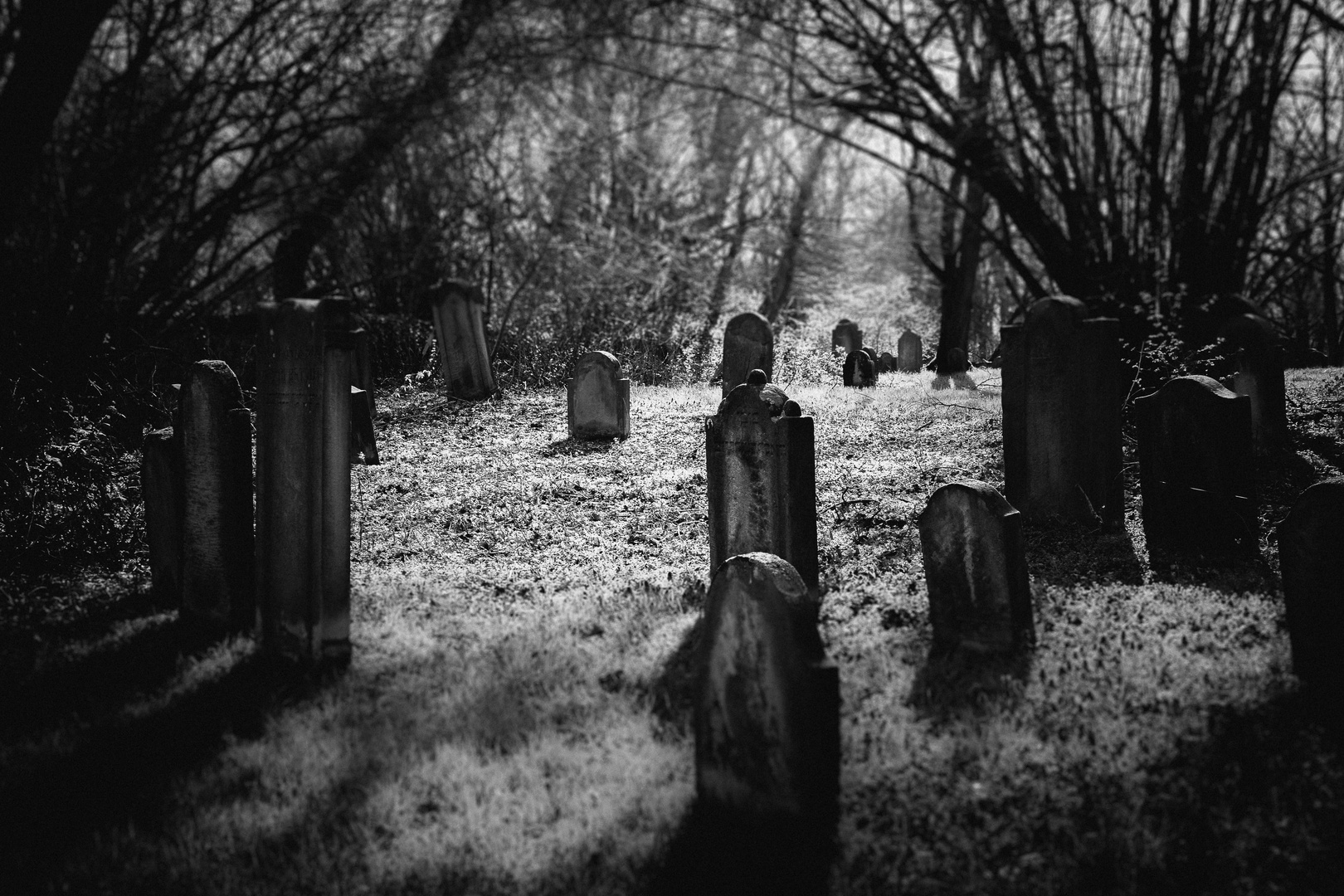 Jüdischer Friedhof Alsbach III