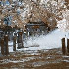 Jüdischer Friedhof Alsbach IR