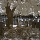 Jüdischer Friedhof Alsbach IR II