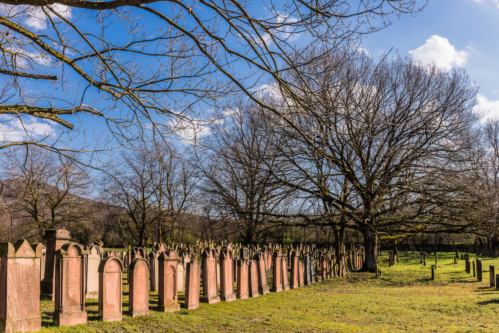 Jüdischer Friedhof Alsbach IV
