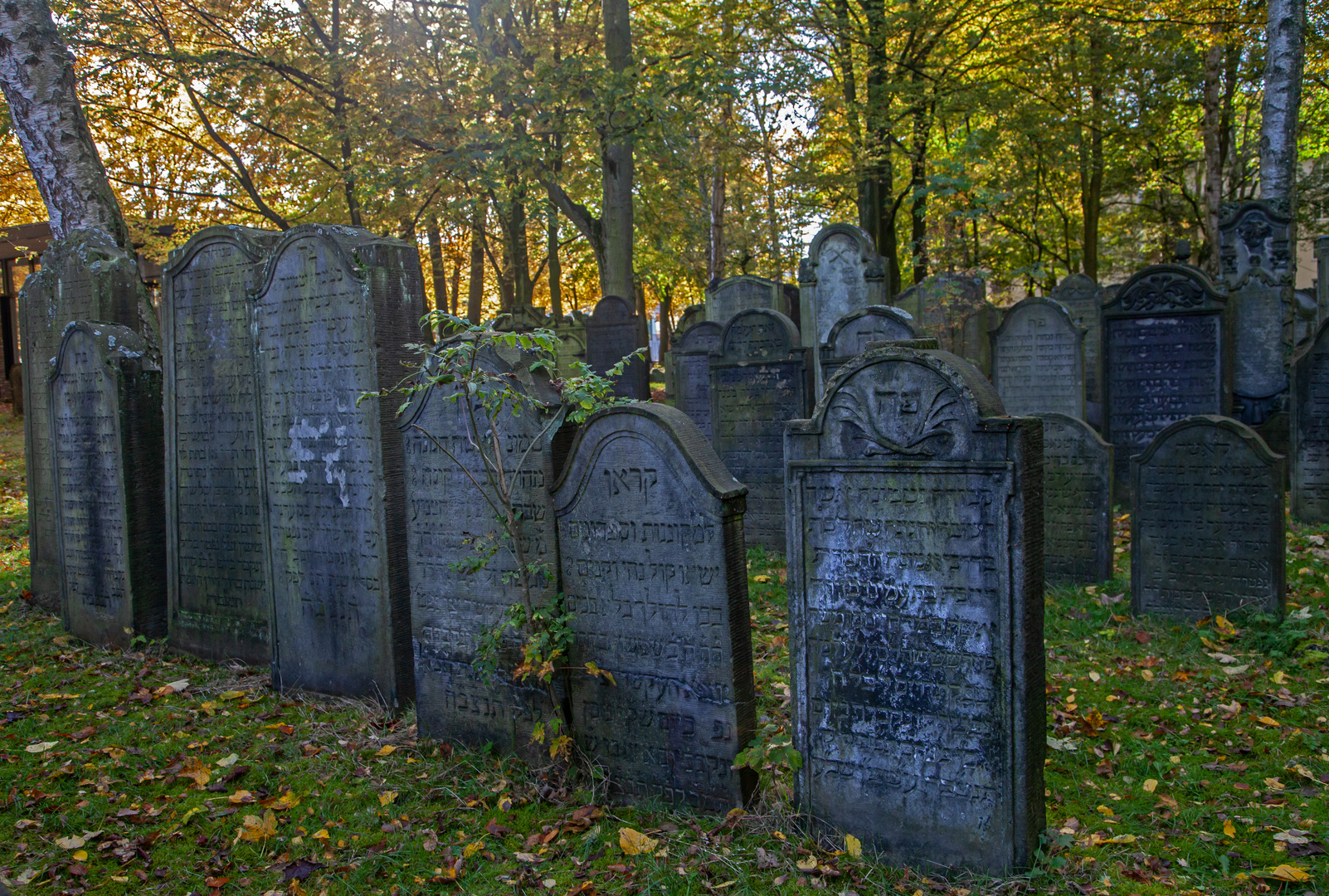 Jüdischer Friedhof Altona 1