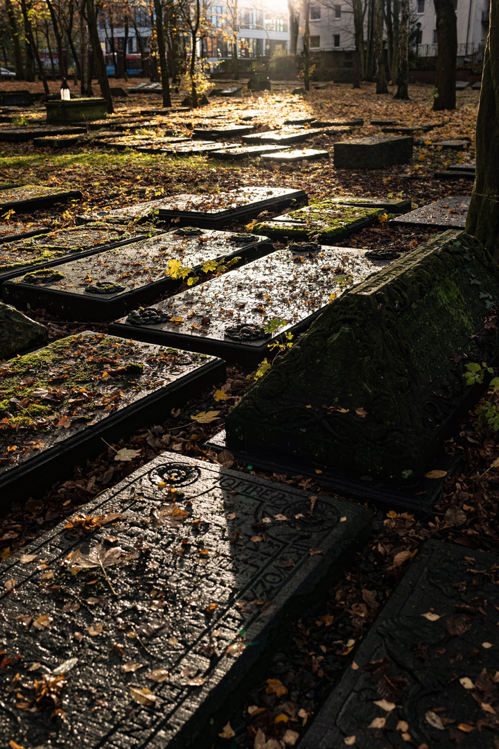 Jüdischer Friedhof Altona