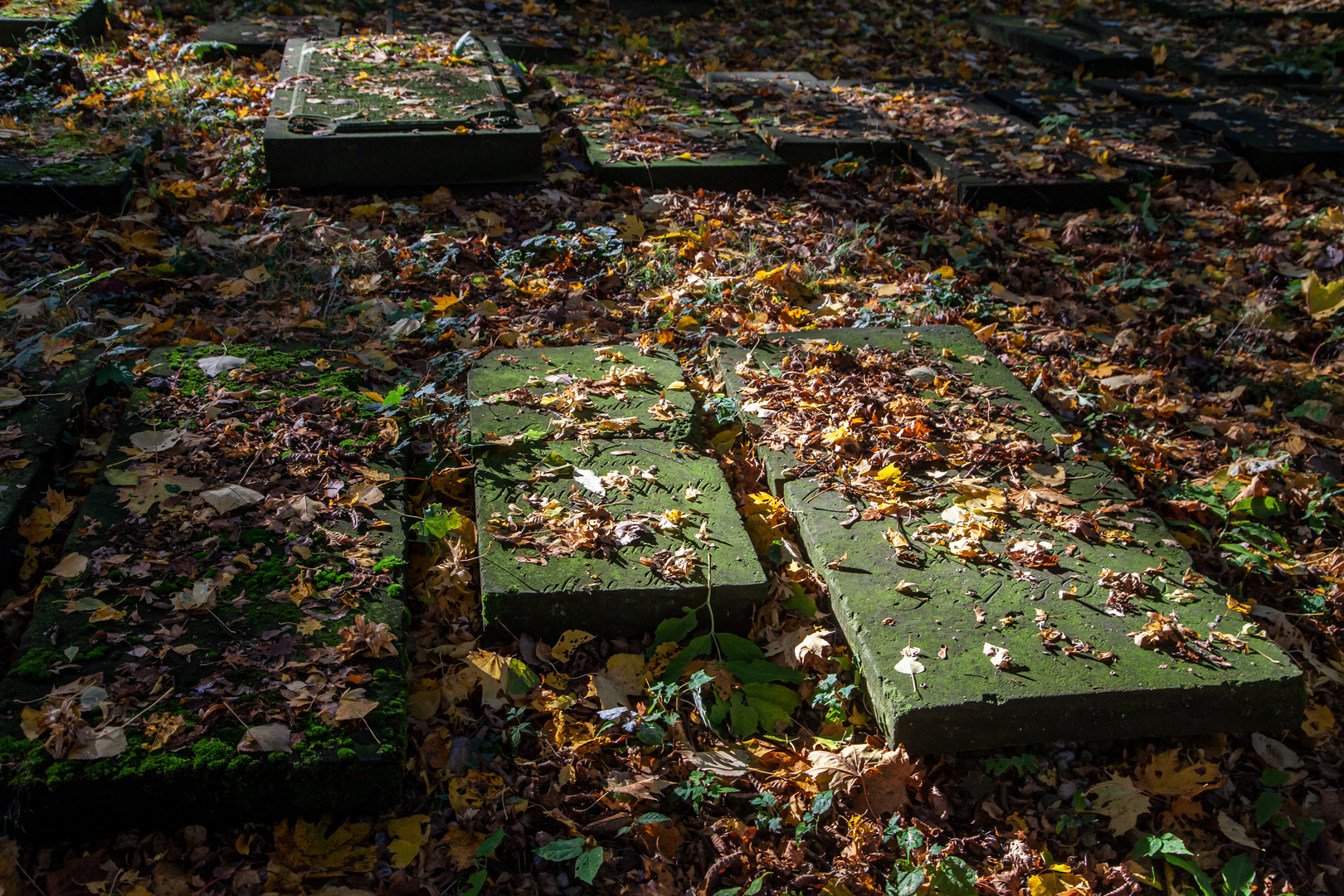 Jüdischer Friedhof Altona 3