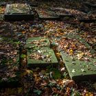 Jüdischer Friedhof Altona 3