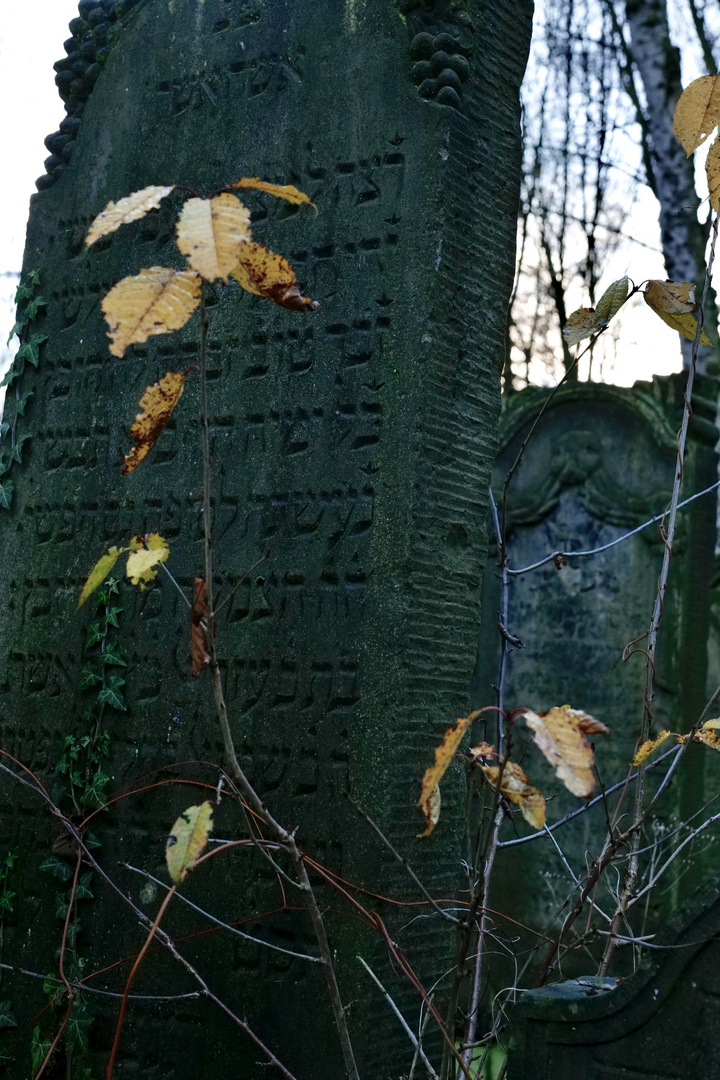 Jüdischer Friedhof Altona