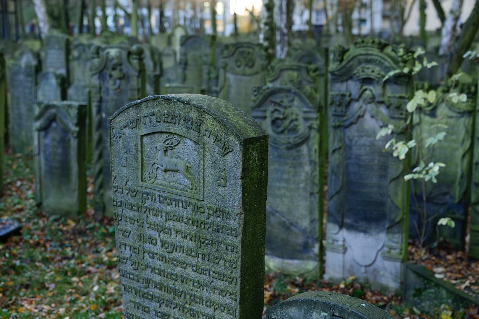 Jüdischer Friedhof Altona