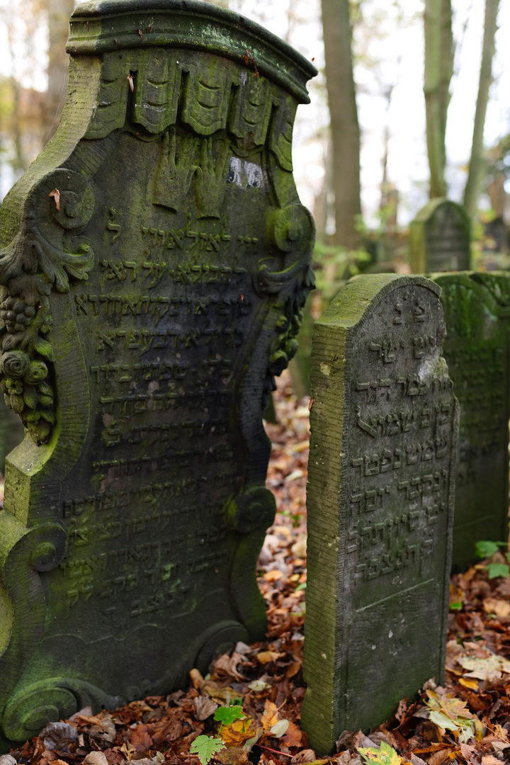 Jüdischer Friedhof Altona