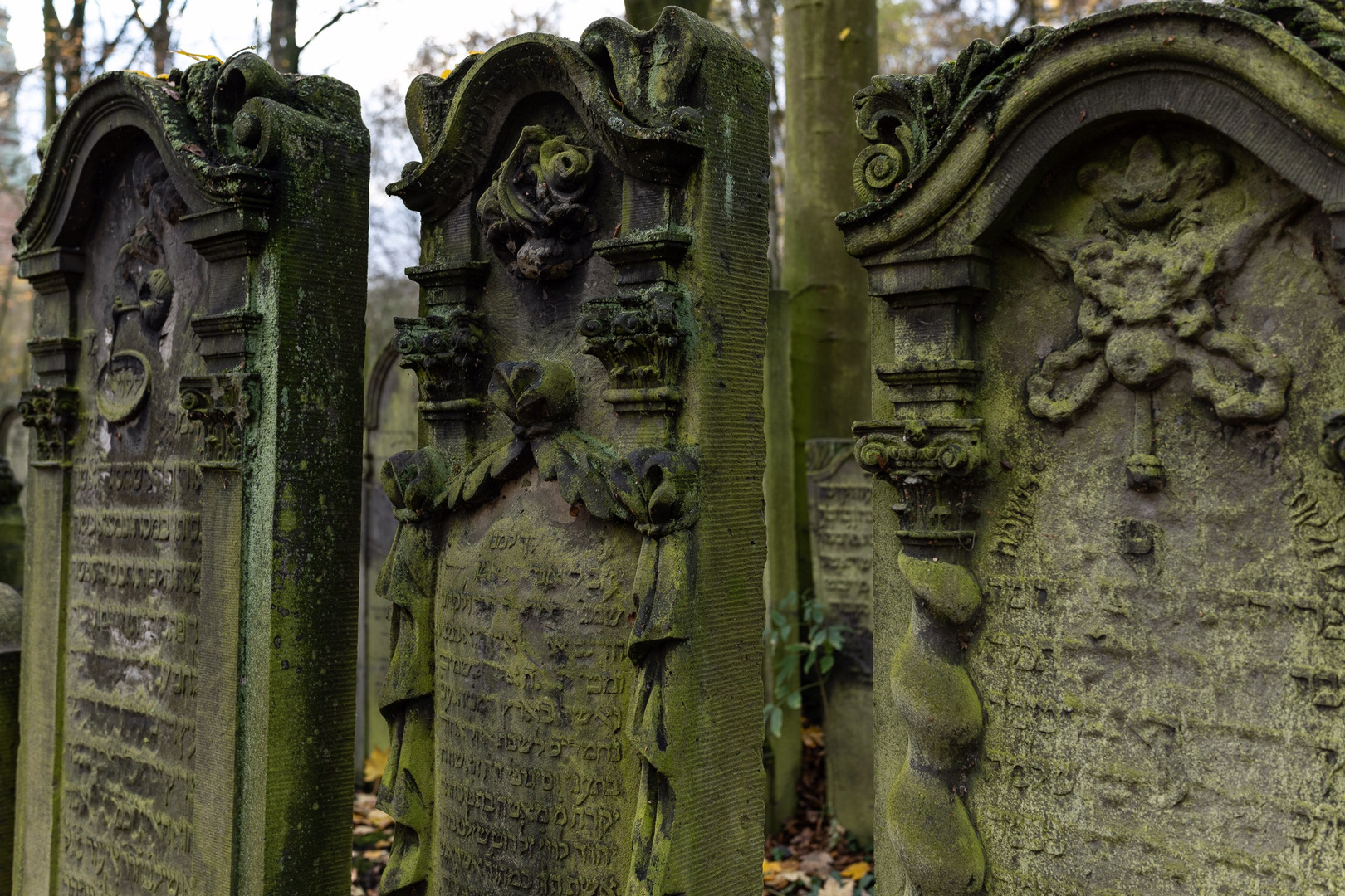 Jüdischer Friedhof Altona