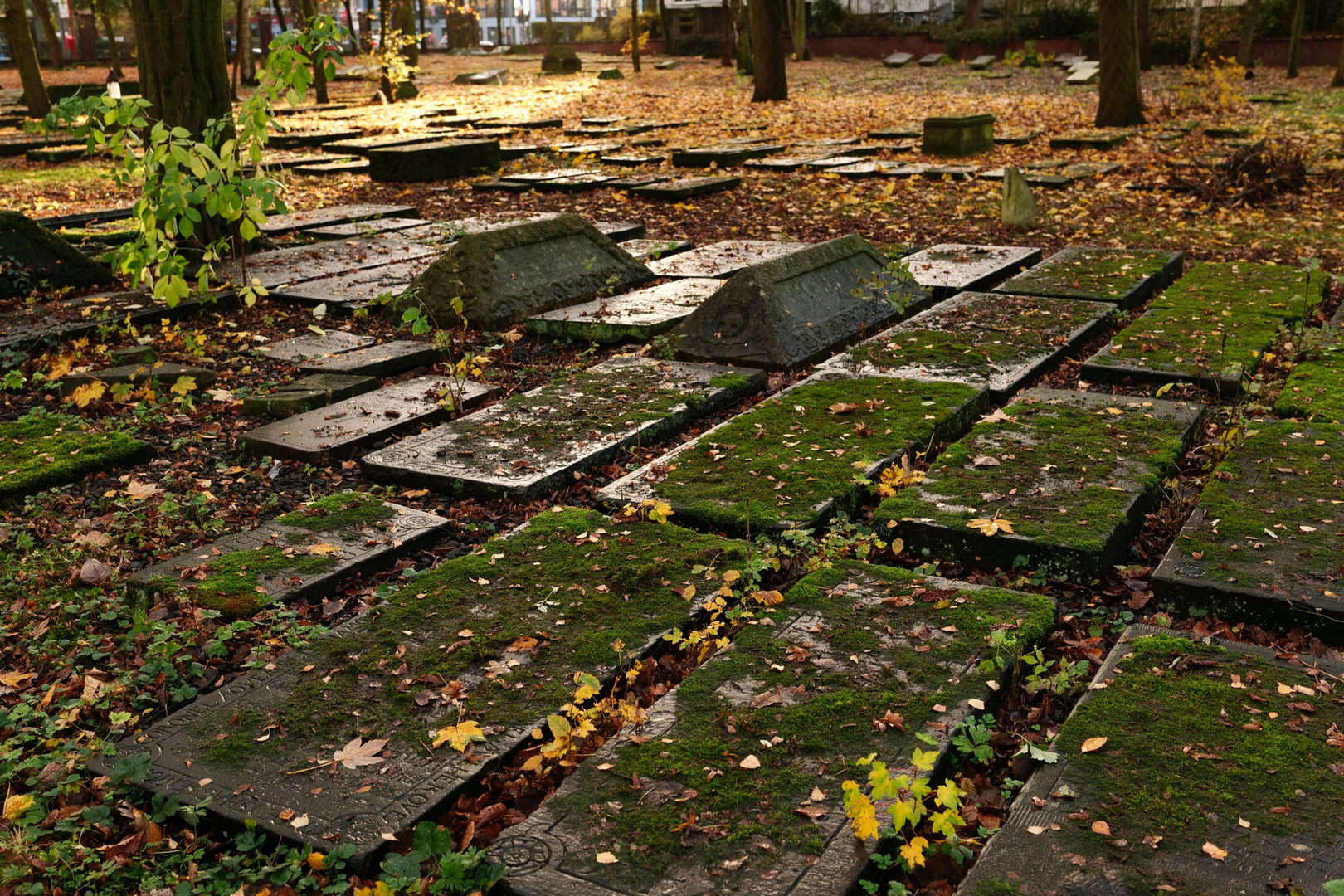 Jüdischer Friedhof Altona