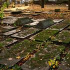 Jüdischer Friedhof Altona